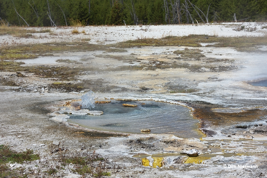 UNNG-PBG-1 west of Punch Bowl Spring Yellowstone