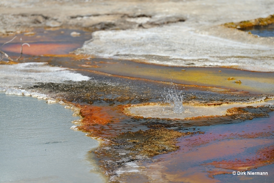 Spouter adjacent to UNNG-PBG-1 and west of Punch Bowl Spring Yellowstone