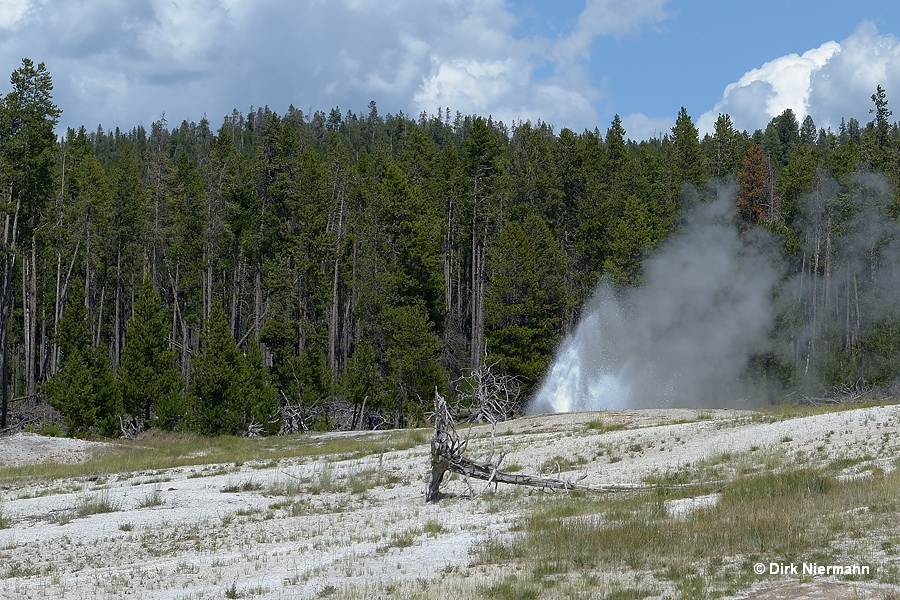 Labial Geyser Yellowstone