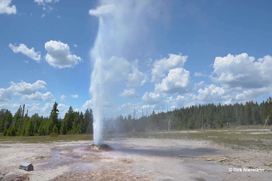 Pink Cone Geyser