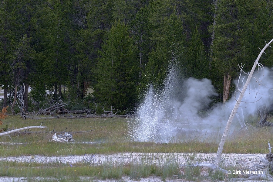 Pink Geyser Yellowstone