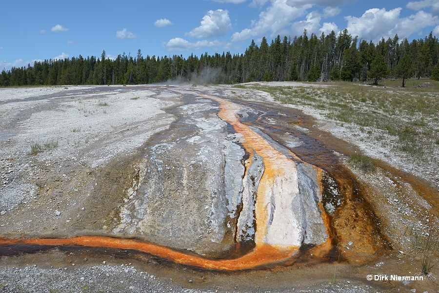 Shelf Spring runoff Yellowstone