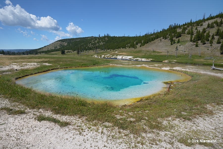 Egeria Spring Yellowstone