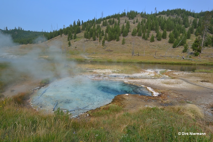 MNN012 Yellowstone