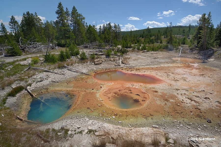 Three Vent Hot Spring Yellowstone