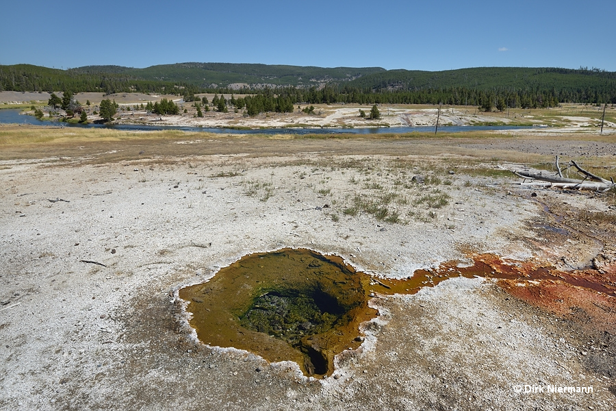 Hot Spring Yellowstone