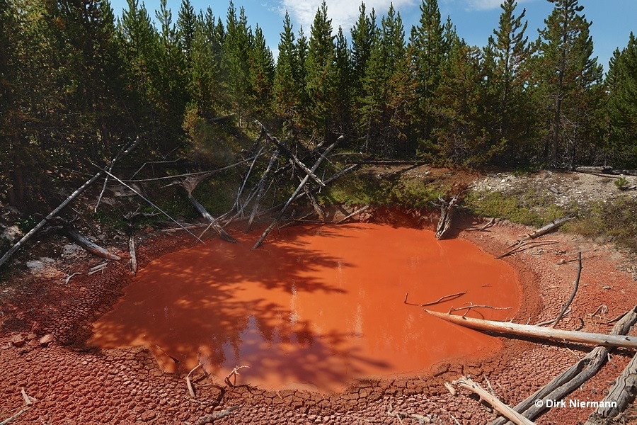 Brick Pool Yellowstone