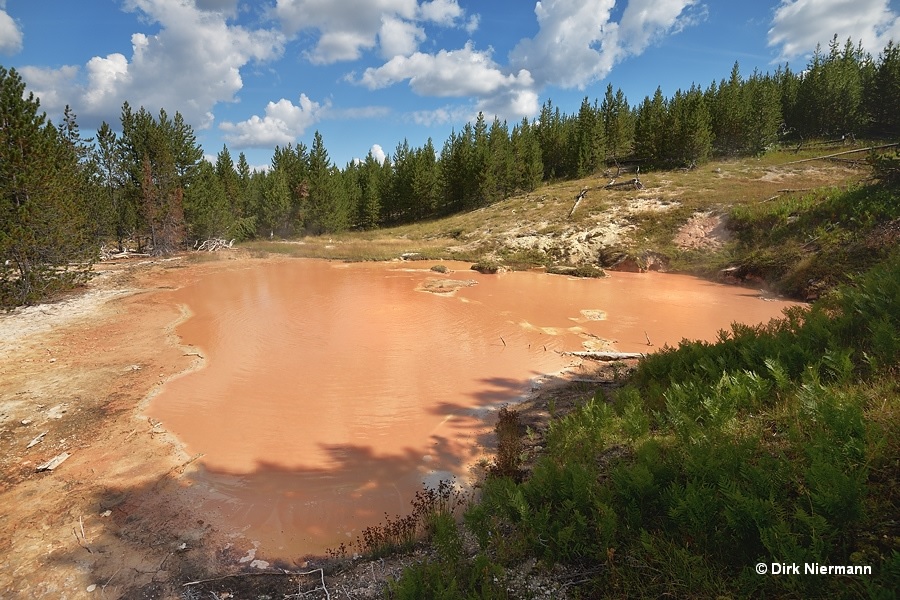 Cream of Tomato Soup Pool Yellowstone