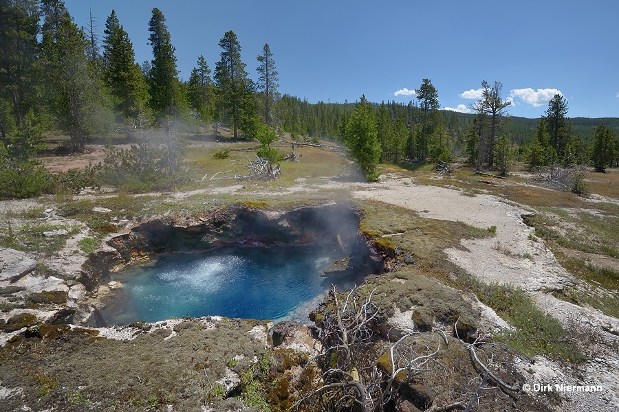 Rabbit Creek hot spring MNN016 Yellowstone