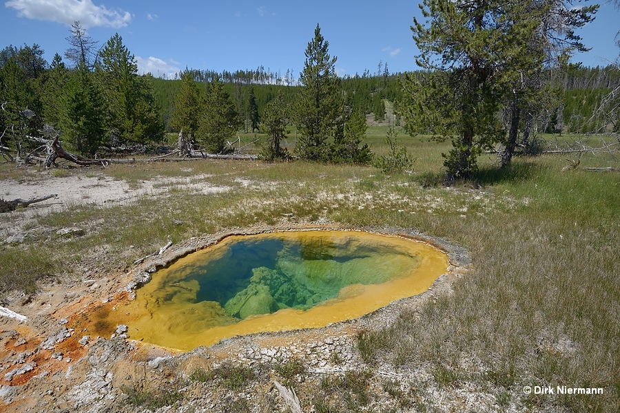 Rabbit Creek hot spring MNN027 Yellowstone