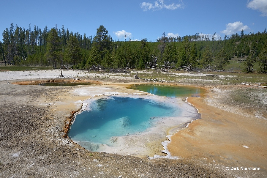 Rabbit Creek hot spring MNN028 Yellowstone