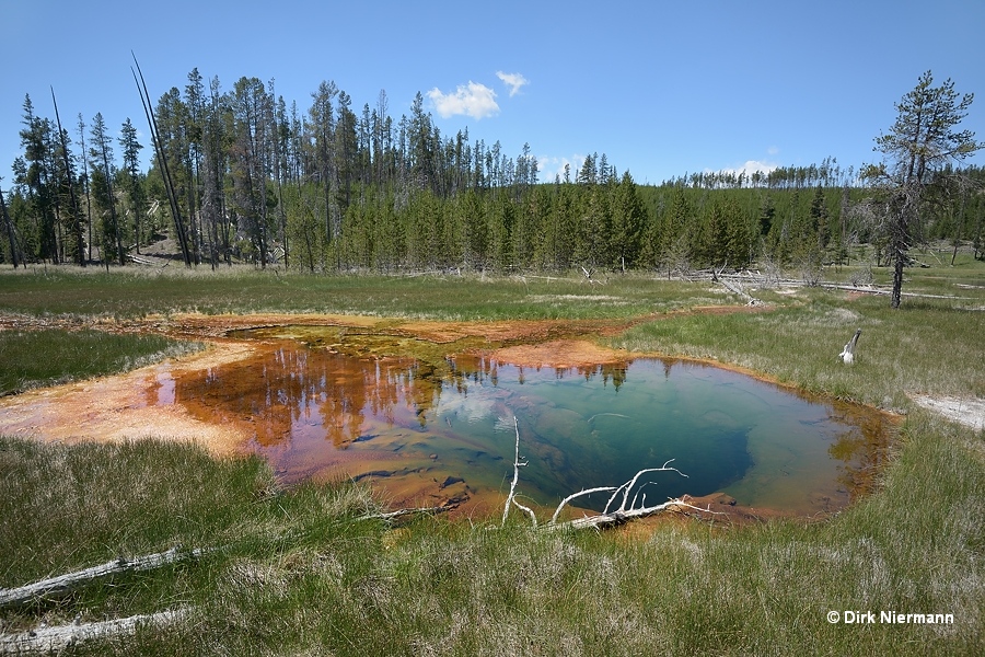 Rabbit Creek hot spring MNN029 Yellowstone