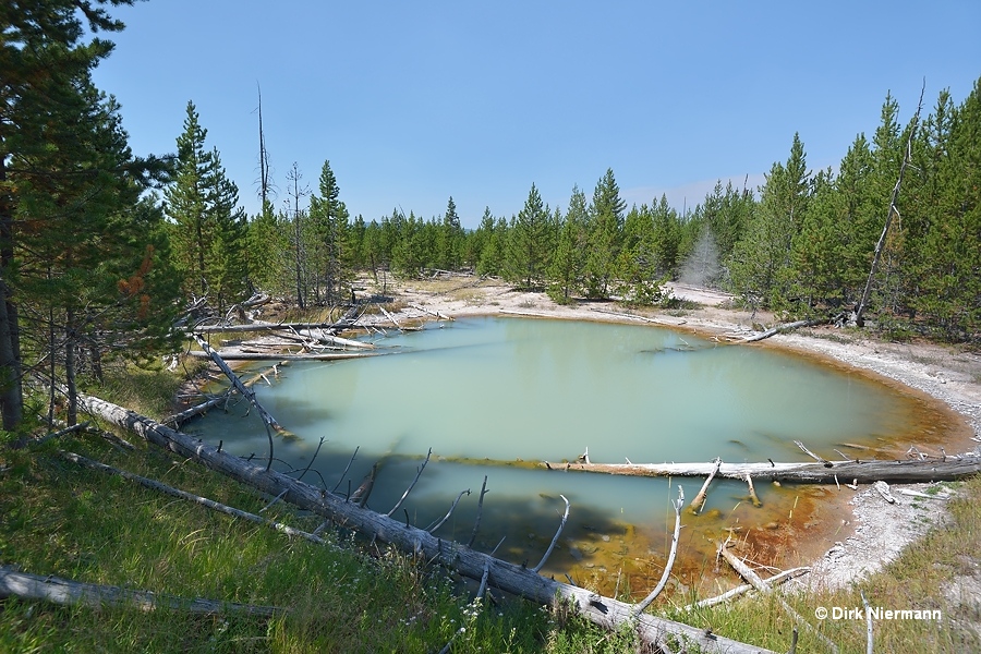 Rabbit Highland hot spring MNN034 Yellowstone