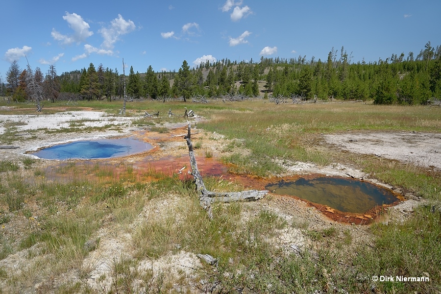 Rabbit Creek hot springs MRCHSGNN142 and MRCHSGNN143 Yellowstone