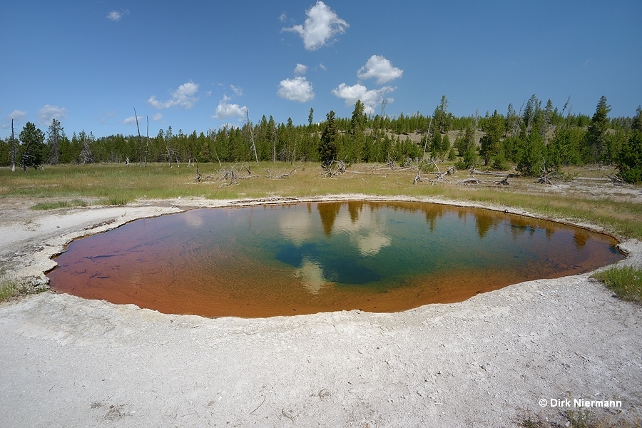 Rabbit Creek hot spring MRCHSGNN148 Yellowstone