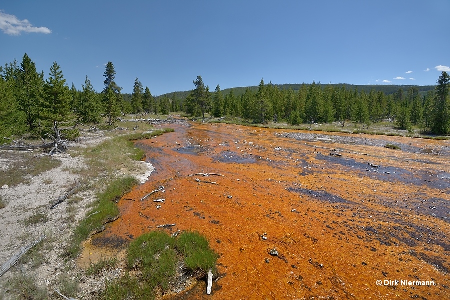 Rabbit Creek Yellowstone