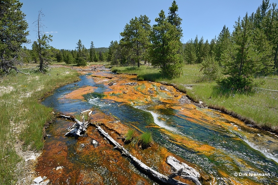 Rabbit Creek Yellowstone