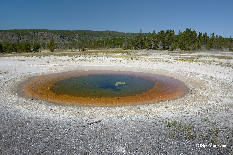 East Round Spring Yellowstone