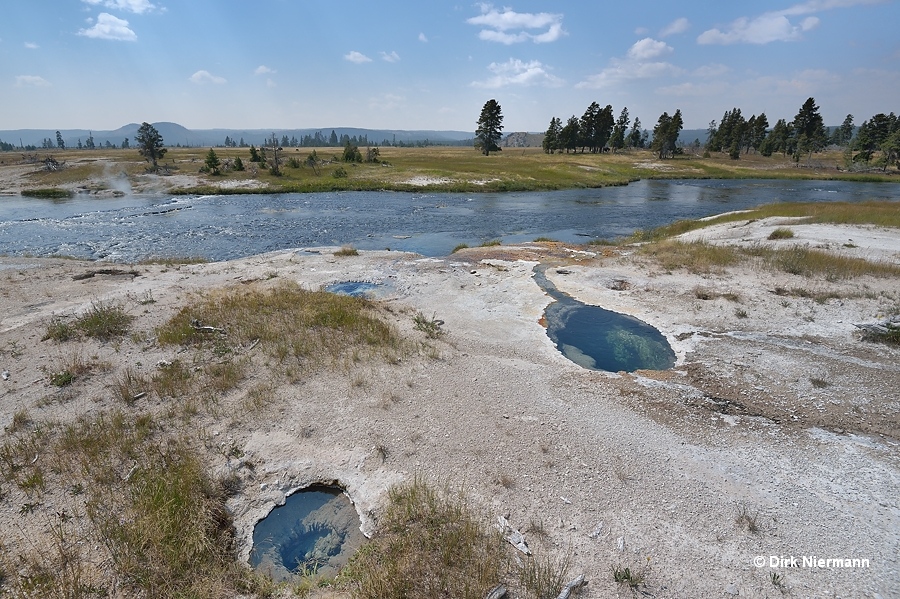 Brain Geyser Yellowstone