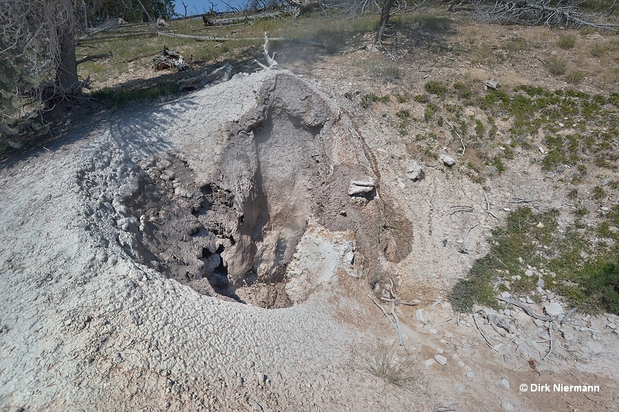 Grotto Spring Yellowstone