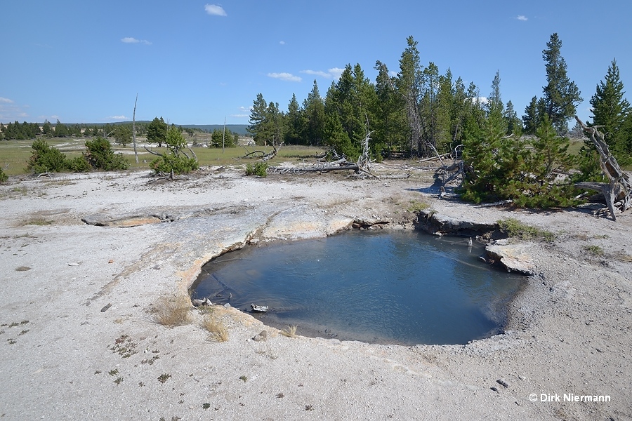 Hot Pool Spring LRNN012 Yellowstone