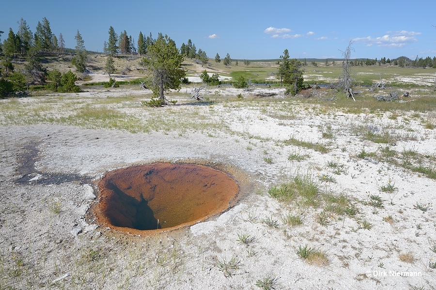 Hot Pool Spring LRNN017 Yellowstone