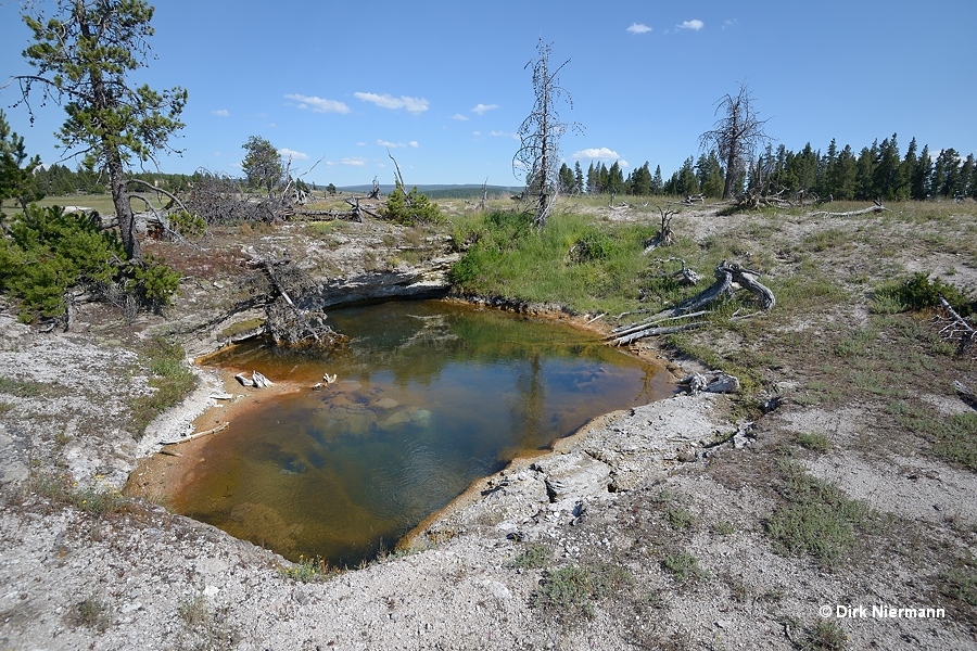 Hot Pool Spring LRNN018 Yellowstone