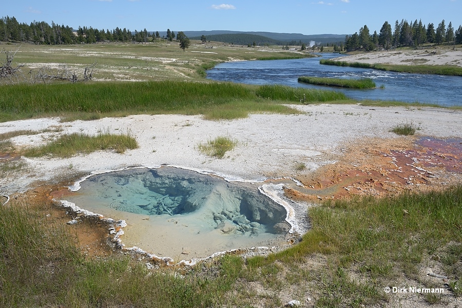 Hot Pool Spring LRNN067 Yellowstone