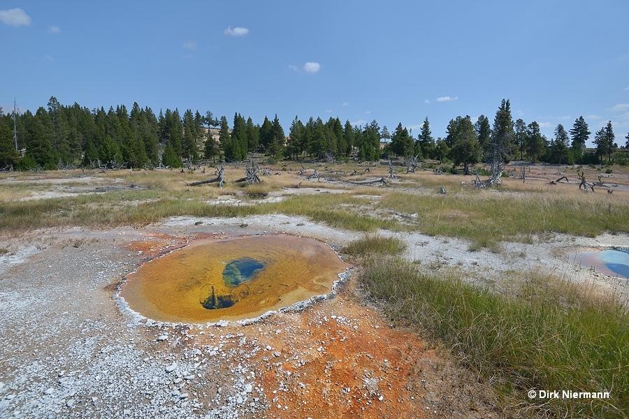 Hot Pool Spring LRNN109 Yellowstone