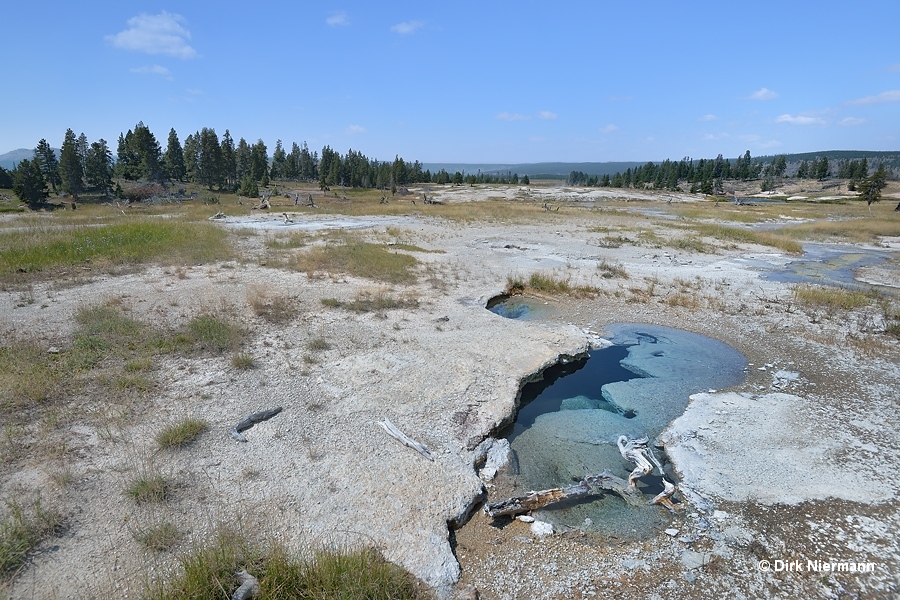 Hot Pool Spring LRNN113 Yellowstone