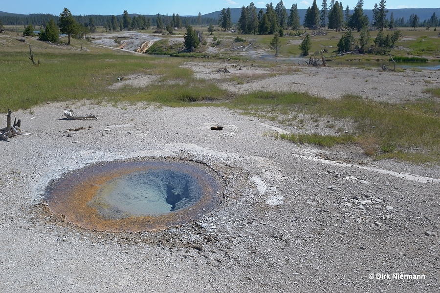 Hot Pool Spring LRNN121 Yellowstone