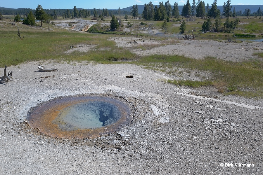 Hot Pool LRNN121 Hot Pool Spring LRNN121 Yellowstone