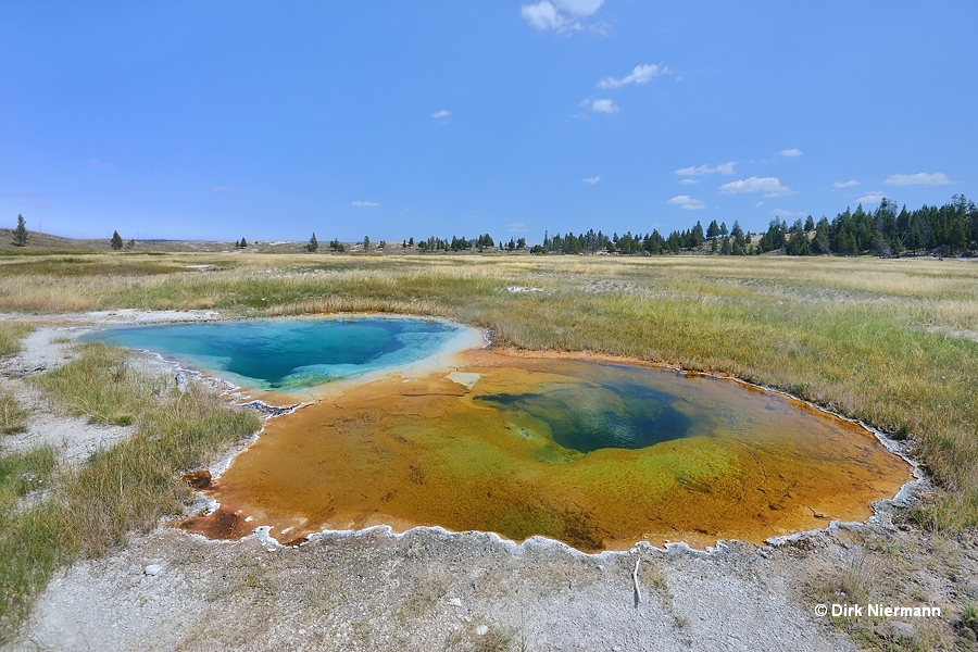 Hot Pool Spring LRNN127 Yellowstone