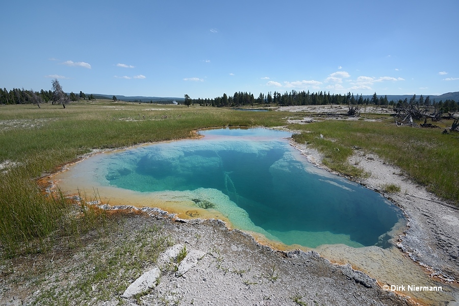 Hot Pool Spring LRNN128 Yellowstone