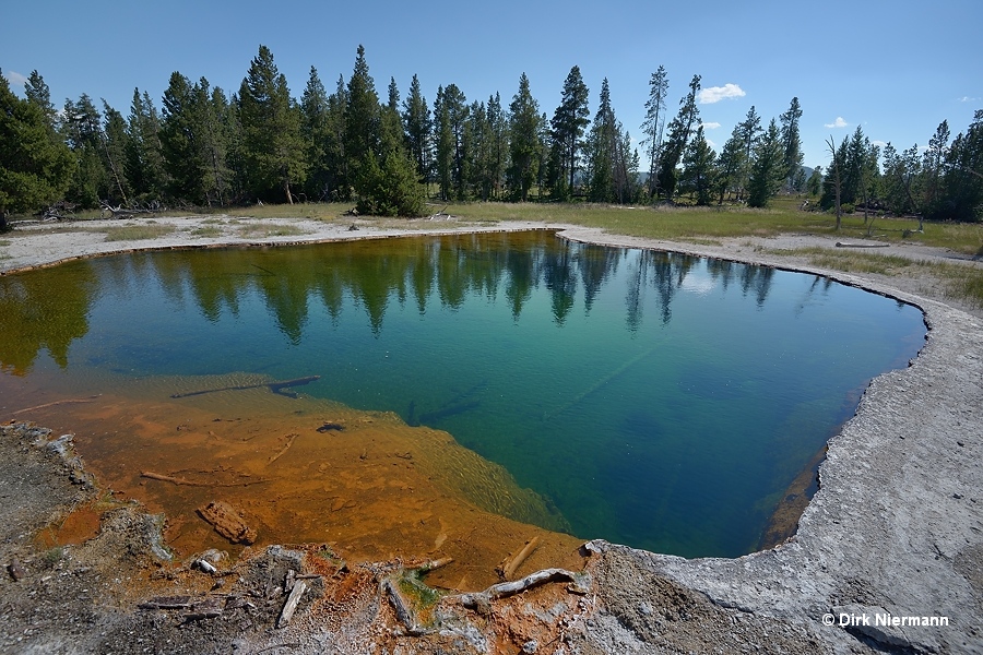 Leaf Pool Yellowstone