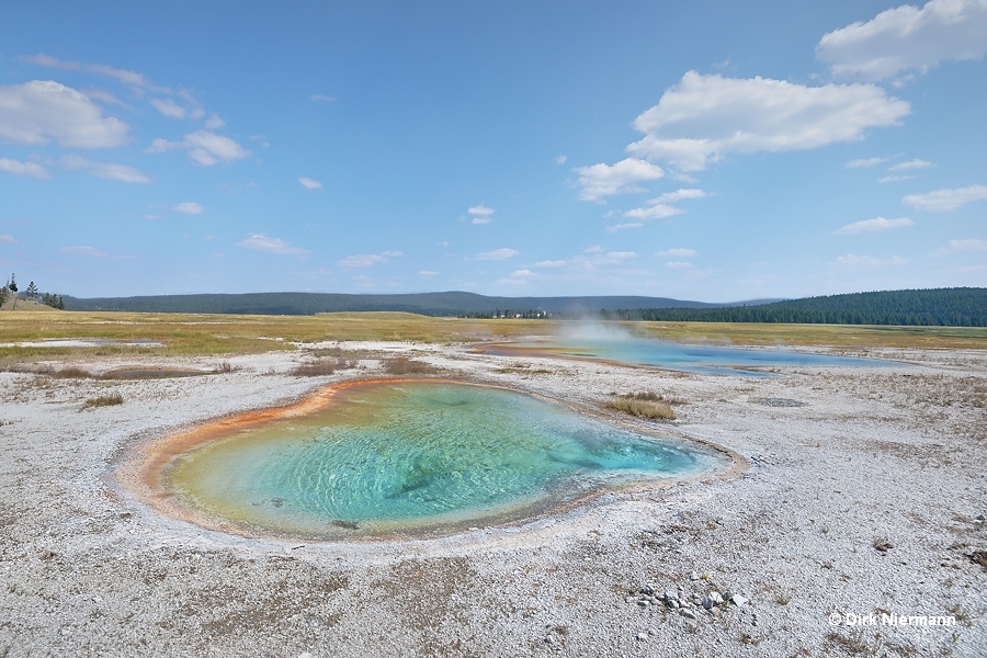 Lightsocket Geyser and Spectrum Spring Yellowstone