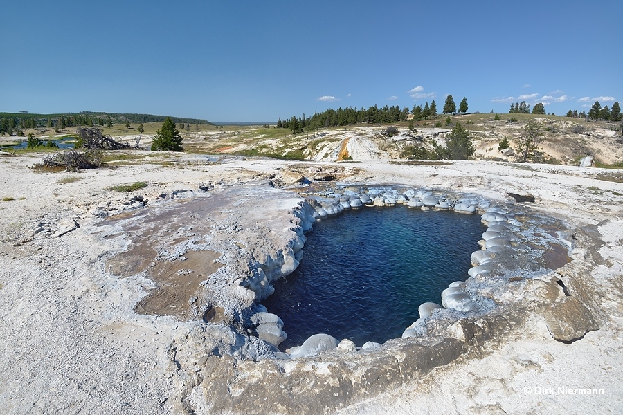 Mound Geyser Yellowstone