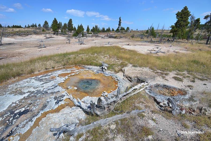 Pocket Basin Geyser Yellowstone