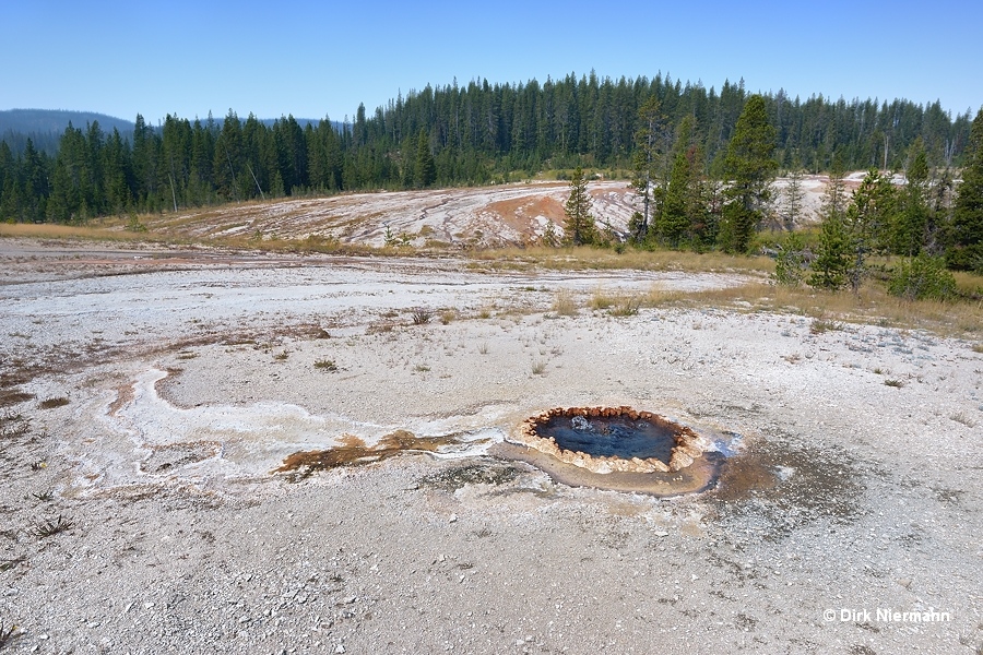 Yellow Boiler Spring Shoshone Basin Yellowstone