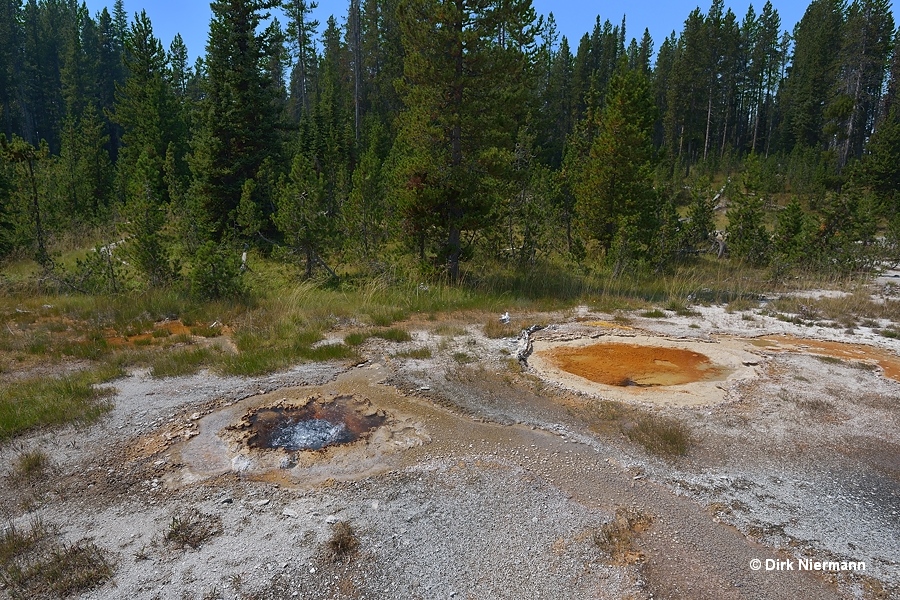 Brown Sponge Spring and Chocolate Geyser Shoshone Basin