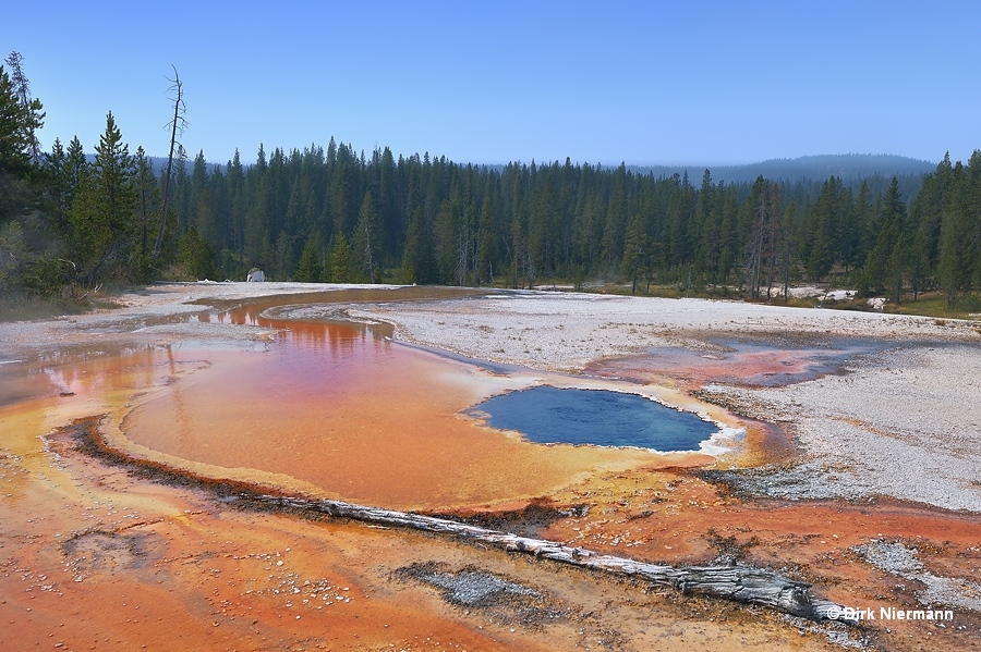 Eclipse Spring Shoshone Basin Yellowstone