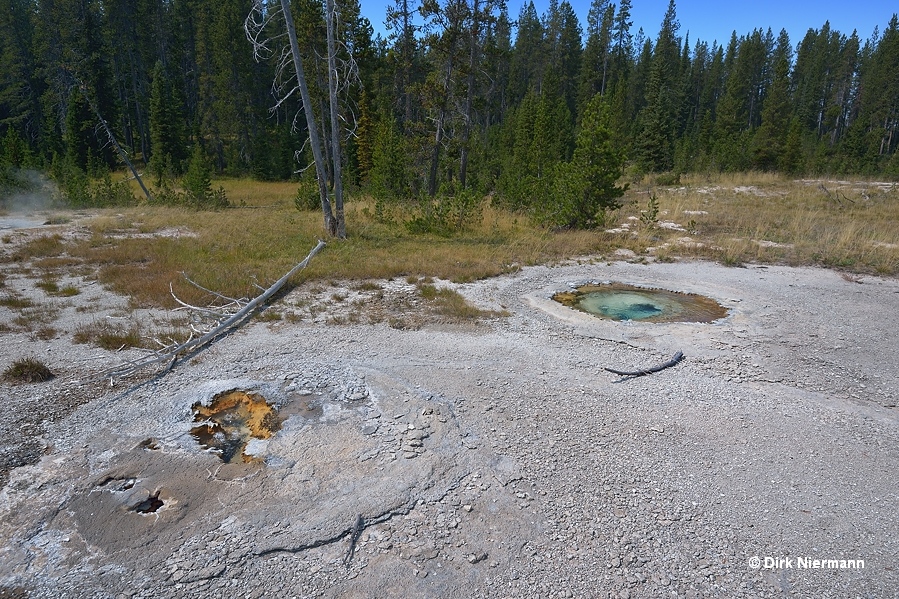 Fissure Spring and Snail Geyser Shoshone Basin