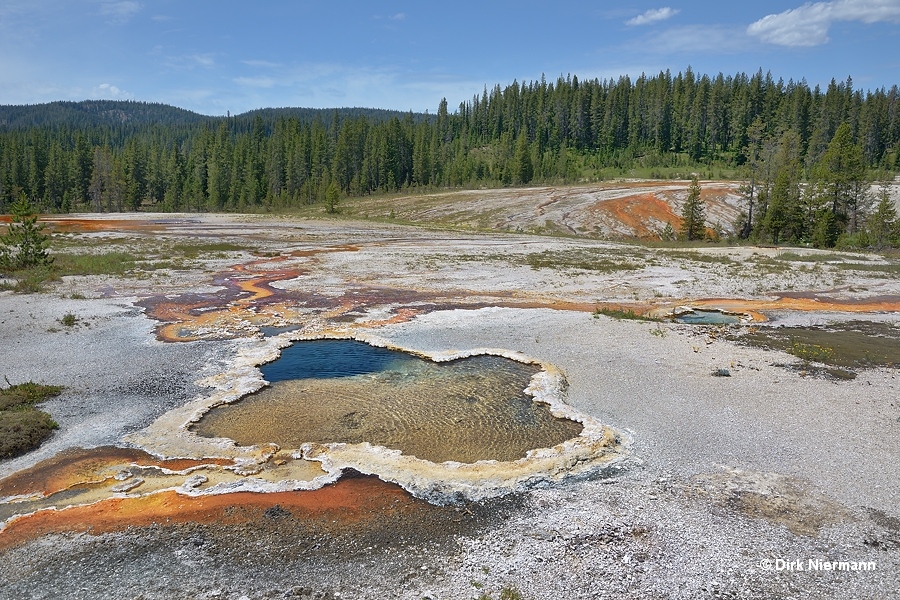 Fleur-de-Lis Spring Shoshone Basin Yellowstone