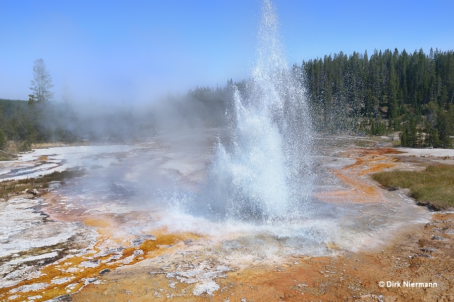 Frill Spring Shoshone Basin