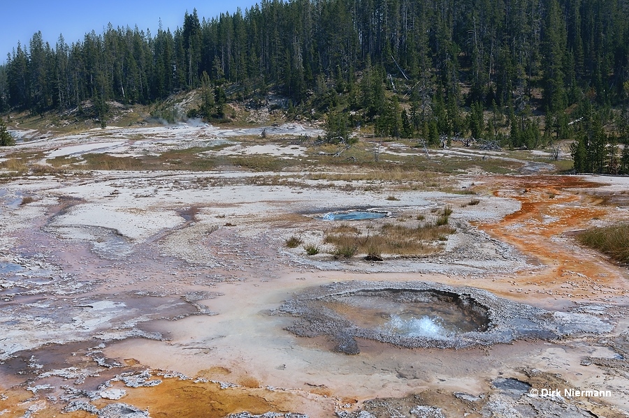 Frill Spring and Pearl Spring Shoshone Basin