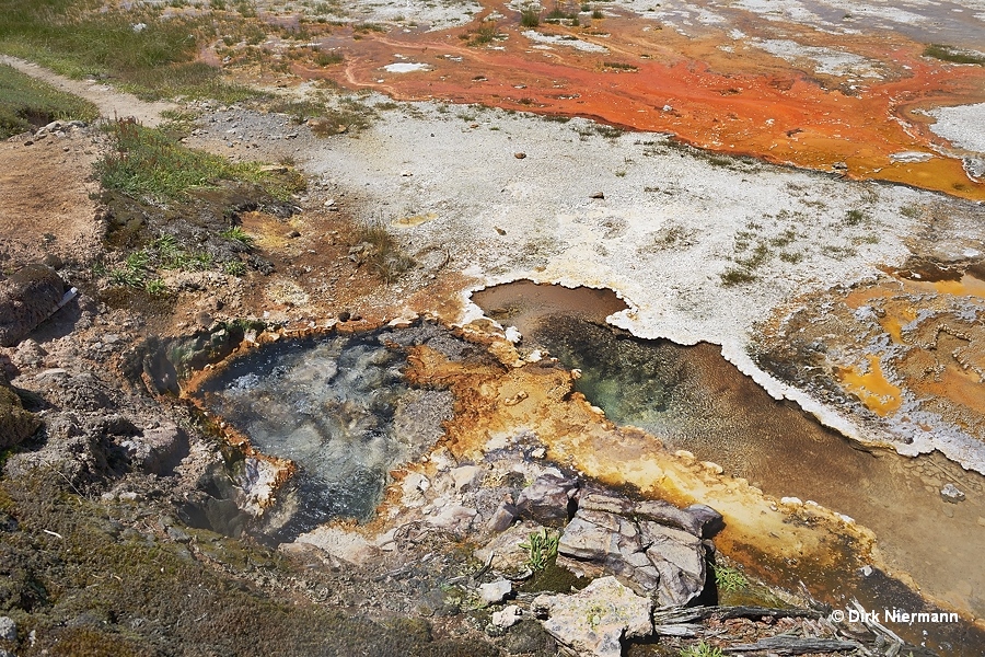 Horse Trail Springs, Shoshone Basin Yellowstone