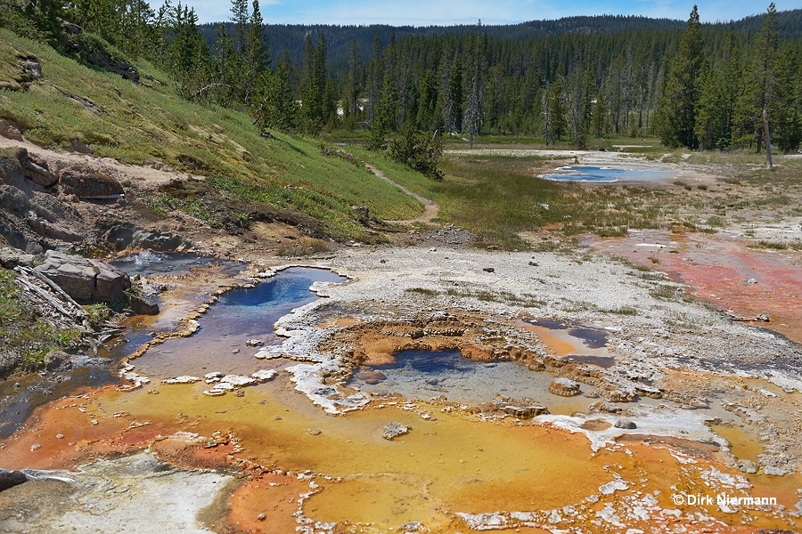 Horse Trail Springs and Trailside Geyser, Shoshone Basin Yellowstone