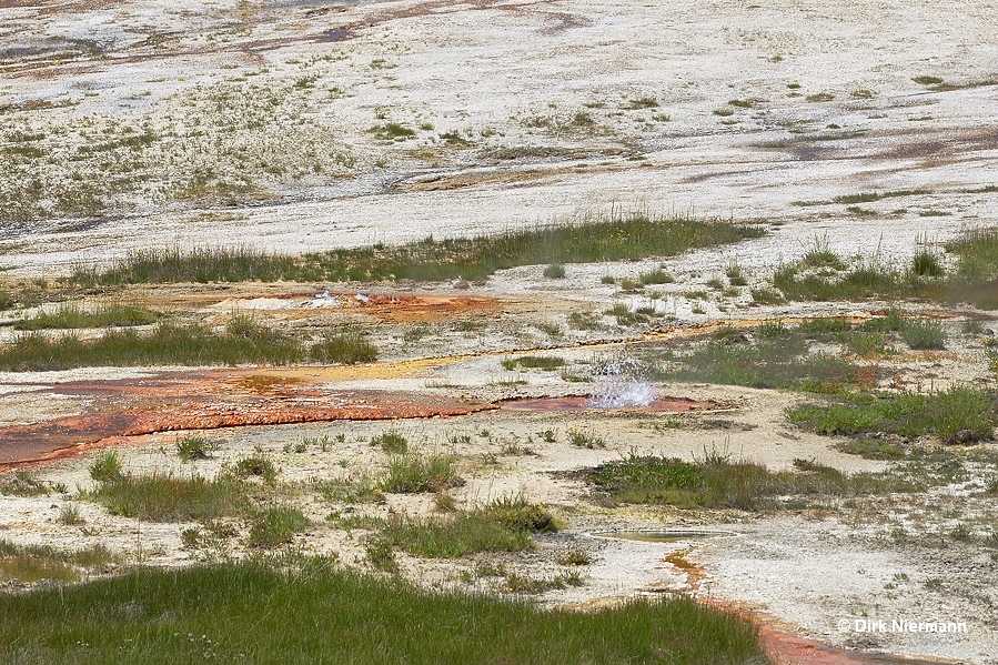 Iron Conch Spring Shoshone Basin Yellowstone