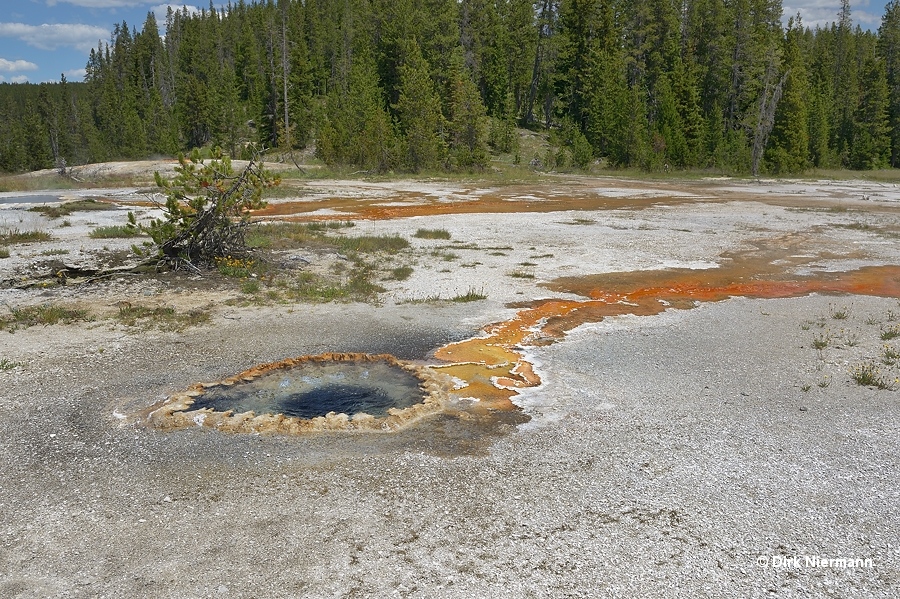 Kitchen Spring Shoshone Basin Yellowstone