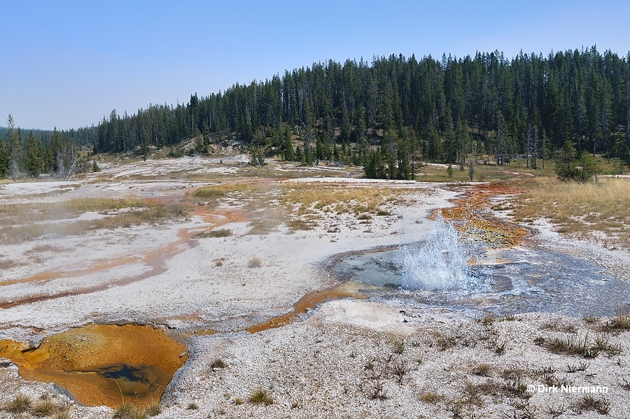 Knobby Geyser Shoshone Basin